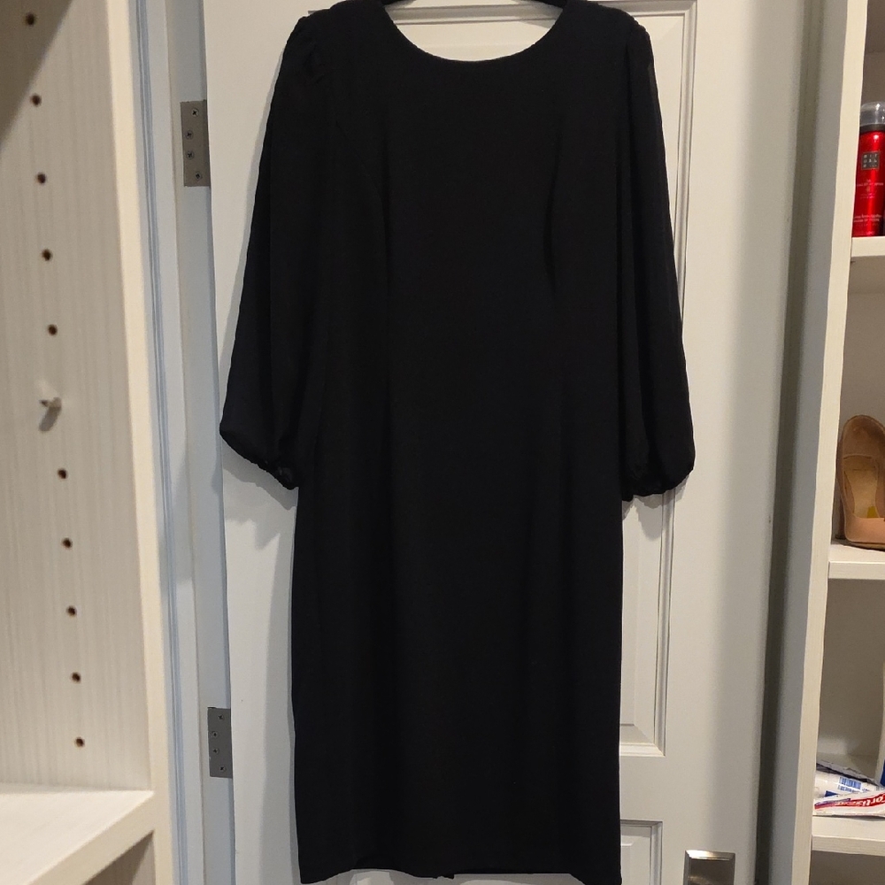 Adrianna Papell Black Long Sleeve Dress